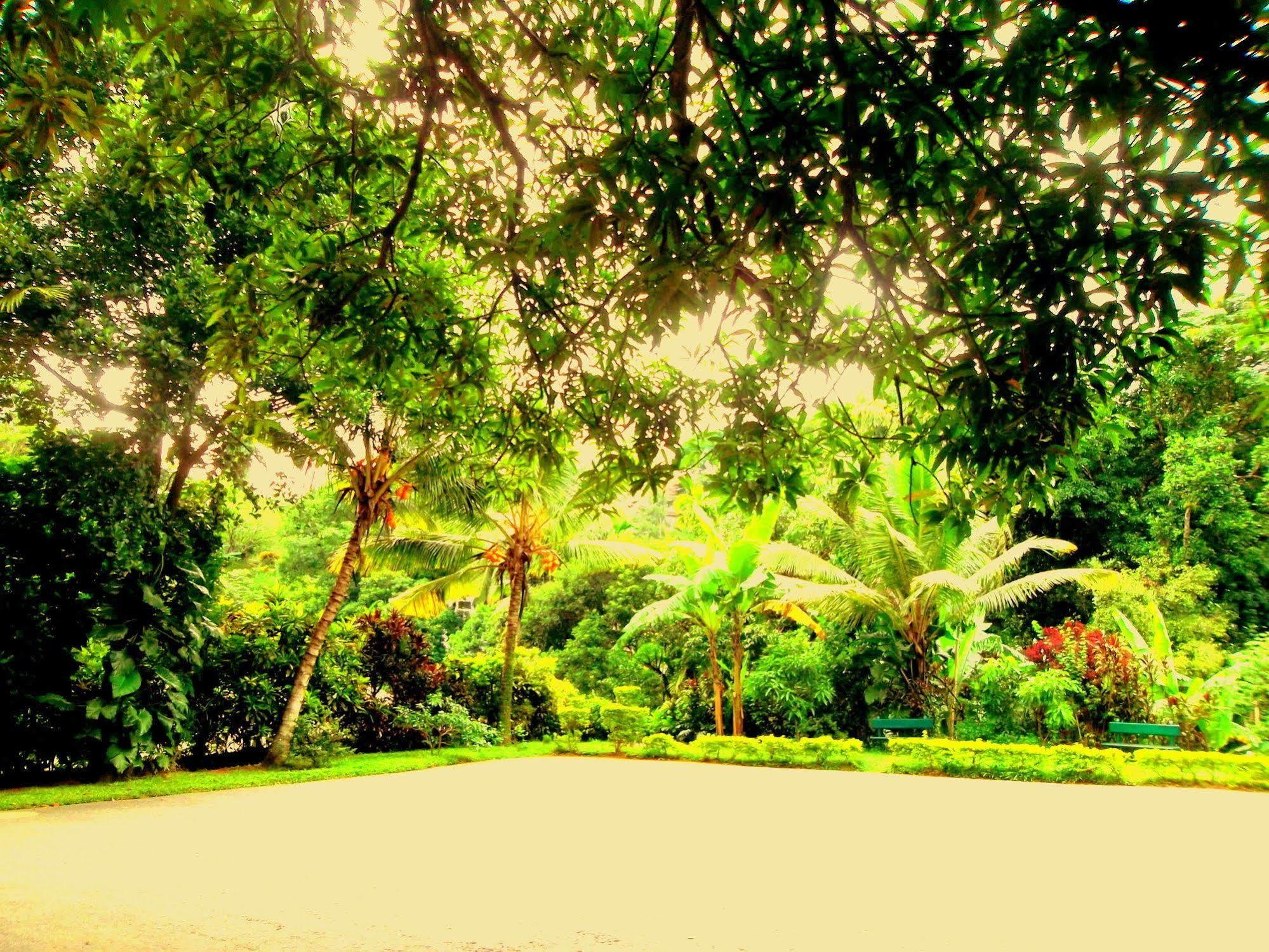 Oyo 433 Paradise Resort Kandy Exteriér fotografie